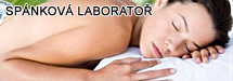 Sp�nkov� laborato�