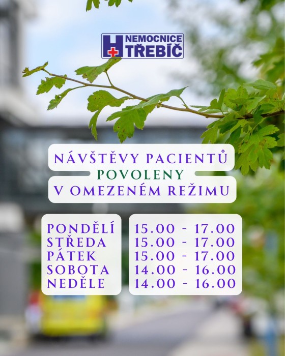 Návštěvy povoleny (v omezeném režimu)