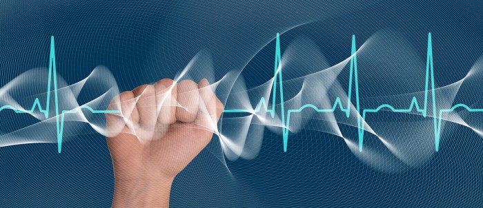 Výběrové řízení vyhlášené Krajem Vysočina na pozici vedoucí Odboru zdravotnictví Krajského úřadu Kraje Vysočina